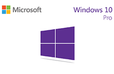 Microsoft Windows Pro